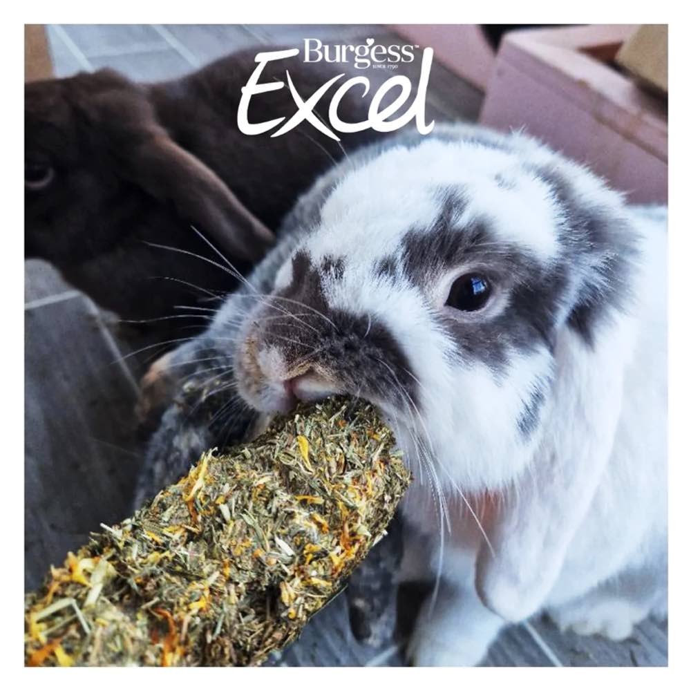 10% OFF: Burgess Excel Nature Snacks Forage & Feast Bar With Marigold Treat For Small Animals 60g