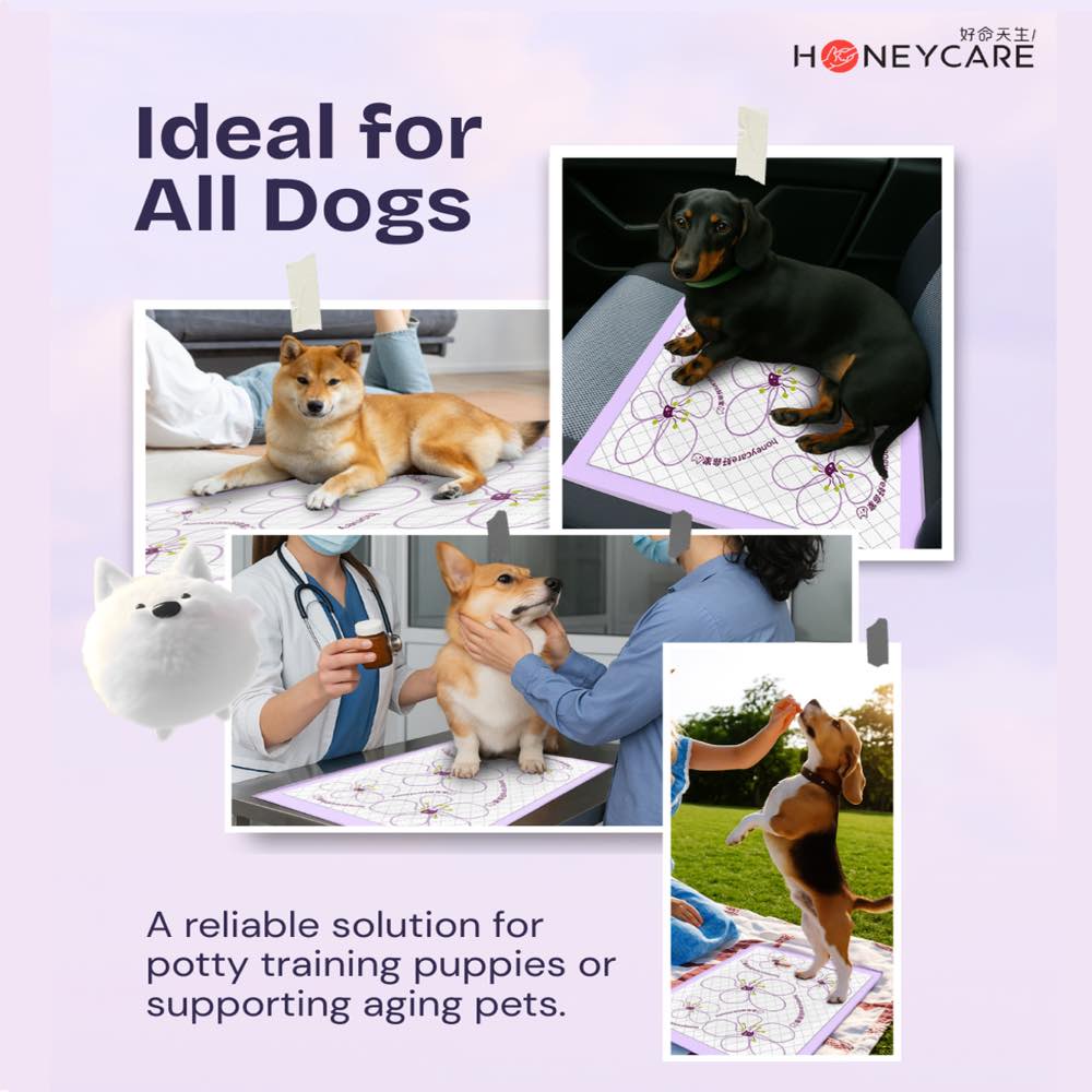 Honey Care Purple Side Leakage Prevention Training Pee Pads