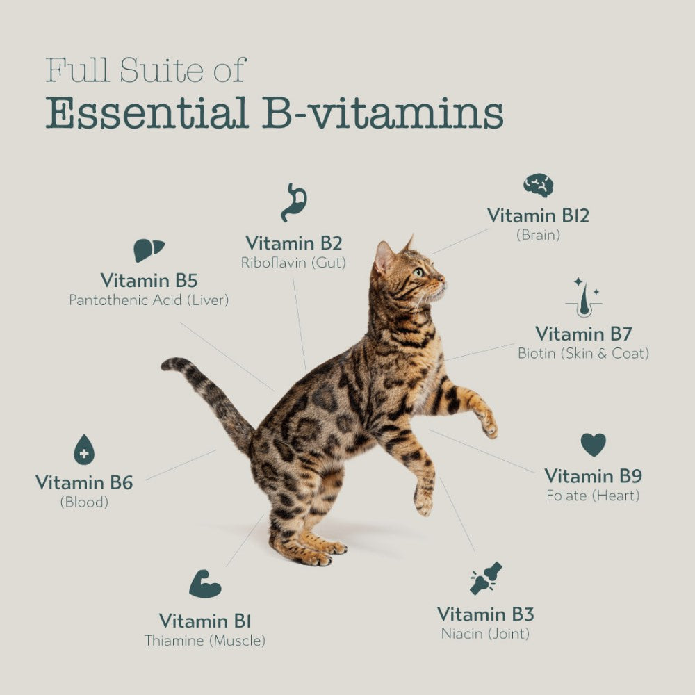 TRIAL SPECIAL $6 OFF: Boneve Grain-Free Freeze-Dried Raw Cat Food 80g
