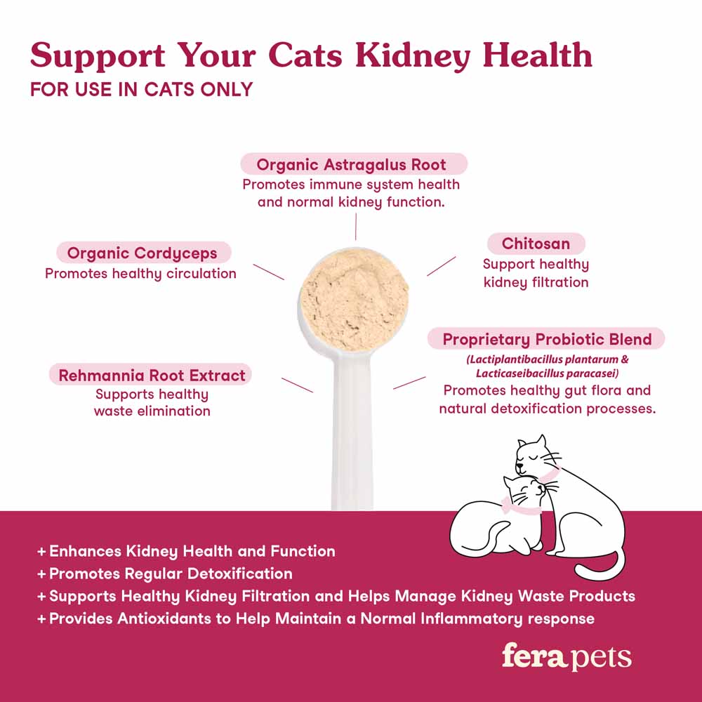 Fera Pets Kidney Support Supplement Powder For CATS 60g