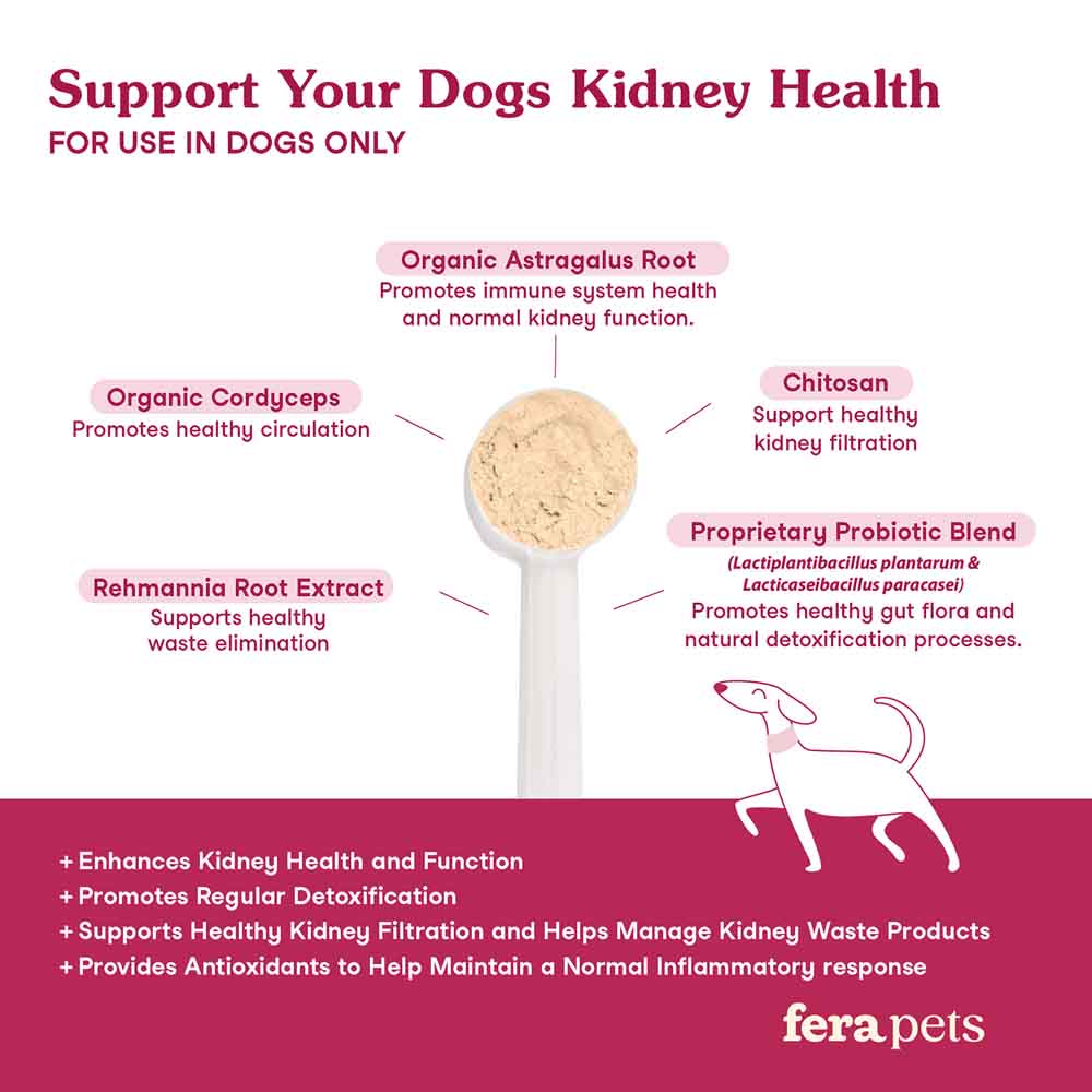 Fera Pets Kidney Support Supplement Powder For DOGS 60g
