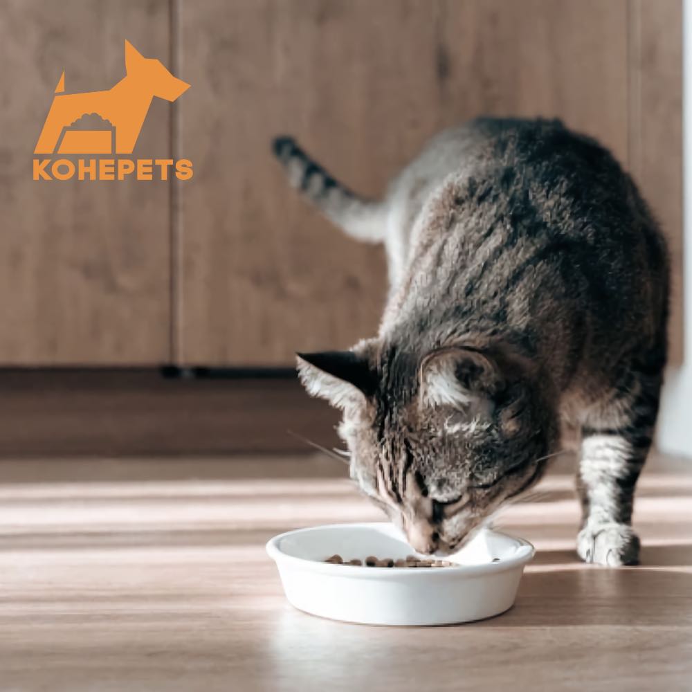 $10 OFF 24 cans: Aixia Kuro-Can Mini Tuna & Skipjack Tuna with Beef Heart Canned Cat Food 80g x 24