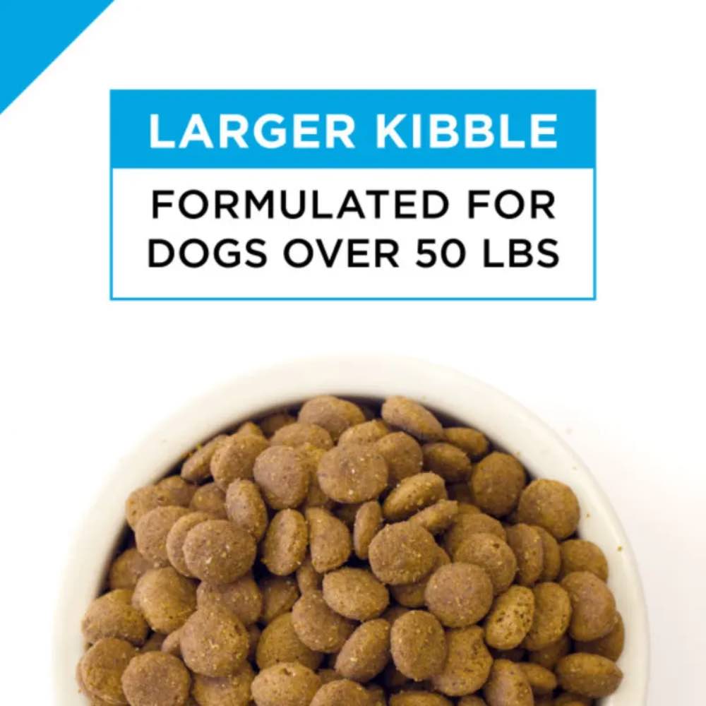 Pro Plan Essential Health Joint & Mobility Large Adult Dry Dog Food 15kg