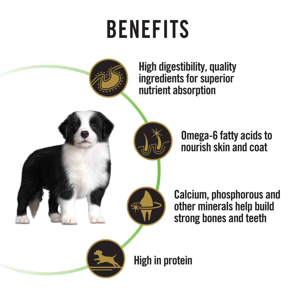 Pro Plan Healthy Growth & Development Medium Puppy Dry Dog Food