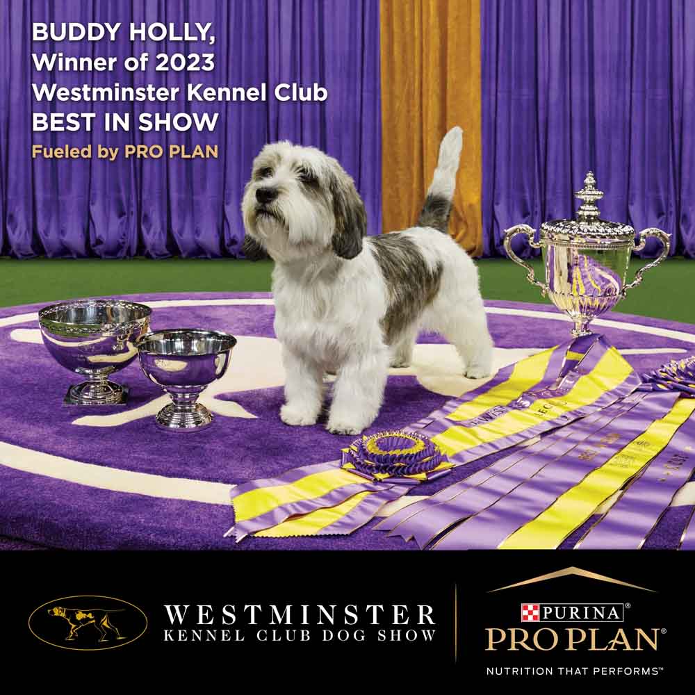 Pro Plan Small & Toy Adult Essential Health Dry Dog Food