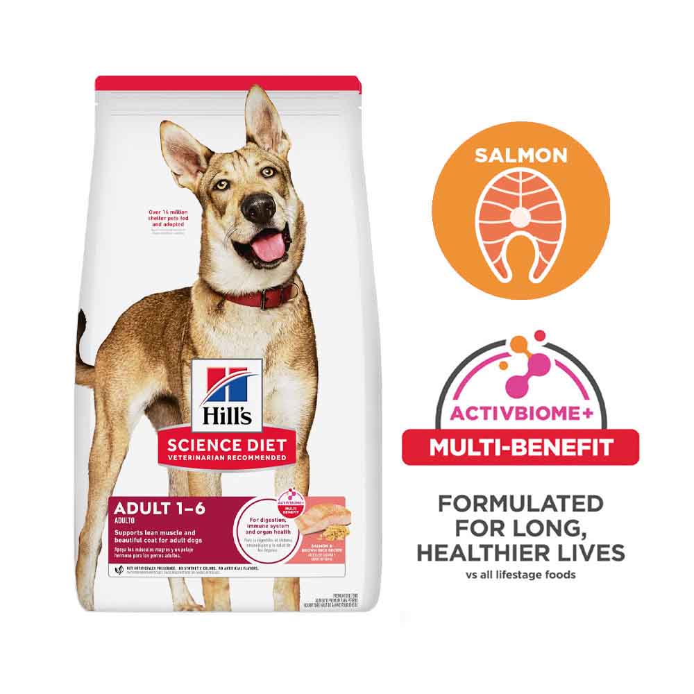 Science Diet Adult Salmon & Brown Rice Dry Dog Food