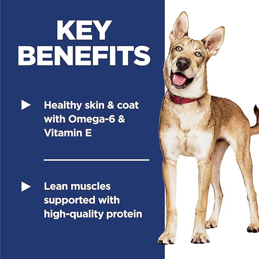 Science Diet Adult Salmon & Brown Rice Dry Dog Food